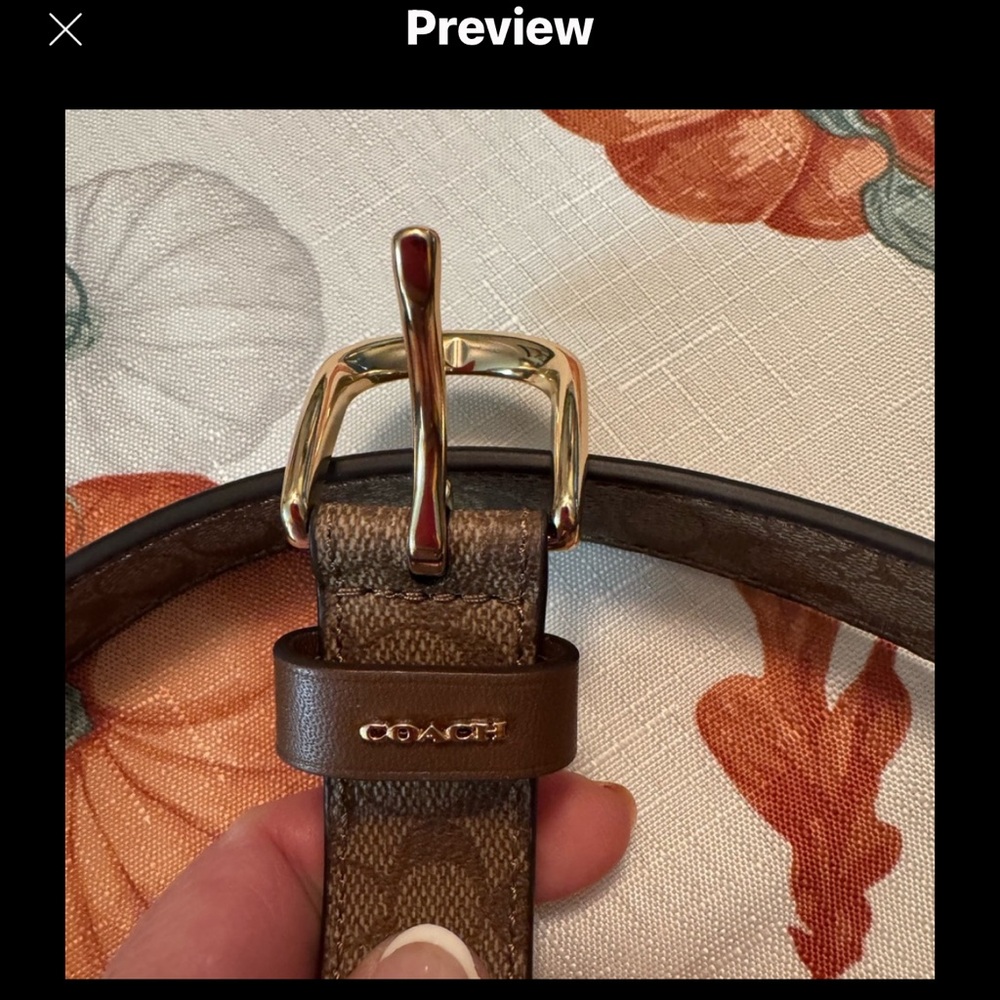 Brown Leather Belt
